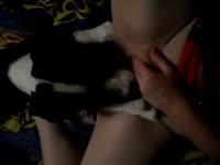 Dog eating the tight pussy of beastie gal